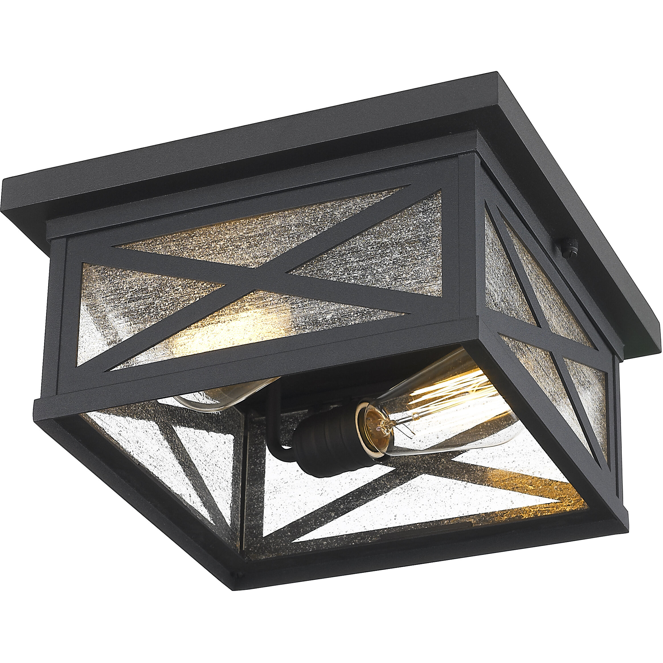 Brookside 2 Light 12 inch Black Outdoor Flush Mount