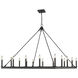 Barclay 16 Light 45 inch Matte Black Chandelier Ceiling Light