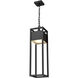 Barwick LED 7 inch Black Outdoor Chain Mount Ceiling Fixture