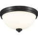 Ashton 2 Light 13 inch Matte Black Flush Mount Ceiling Light in 4