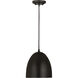 Z-Studio 1 Light 9.5 inch Satin Black Pendant Ceiling Light in Matte Black