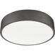 Coronado LED 20 inch Bronze Flush Mount Ceiling Light