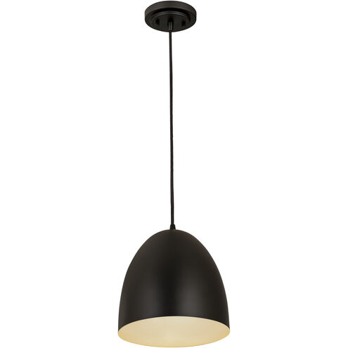 Z-Studio 1 Light 9.5 inch Satin Black Pendant Ceiling Light in Matte Black