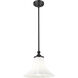 Fleur 1 Light 12 inch Matte Black Pendant Ceiling Light