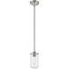 Delaney 1 Light 4 inch Brushed Nickel Pendant Ceiling Light
