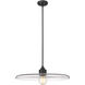 Paloma 1 Light 24 inch Matte Black Pendant Ceiling Light