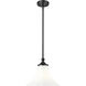 Fleur 1 Light 12 inch Matte Black Pendant Ceiling Light