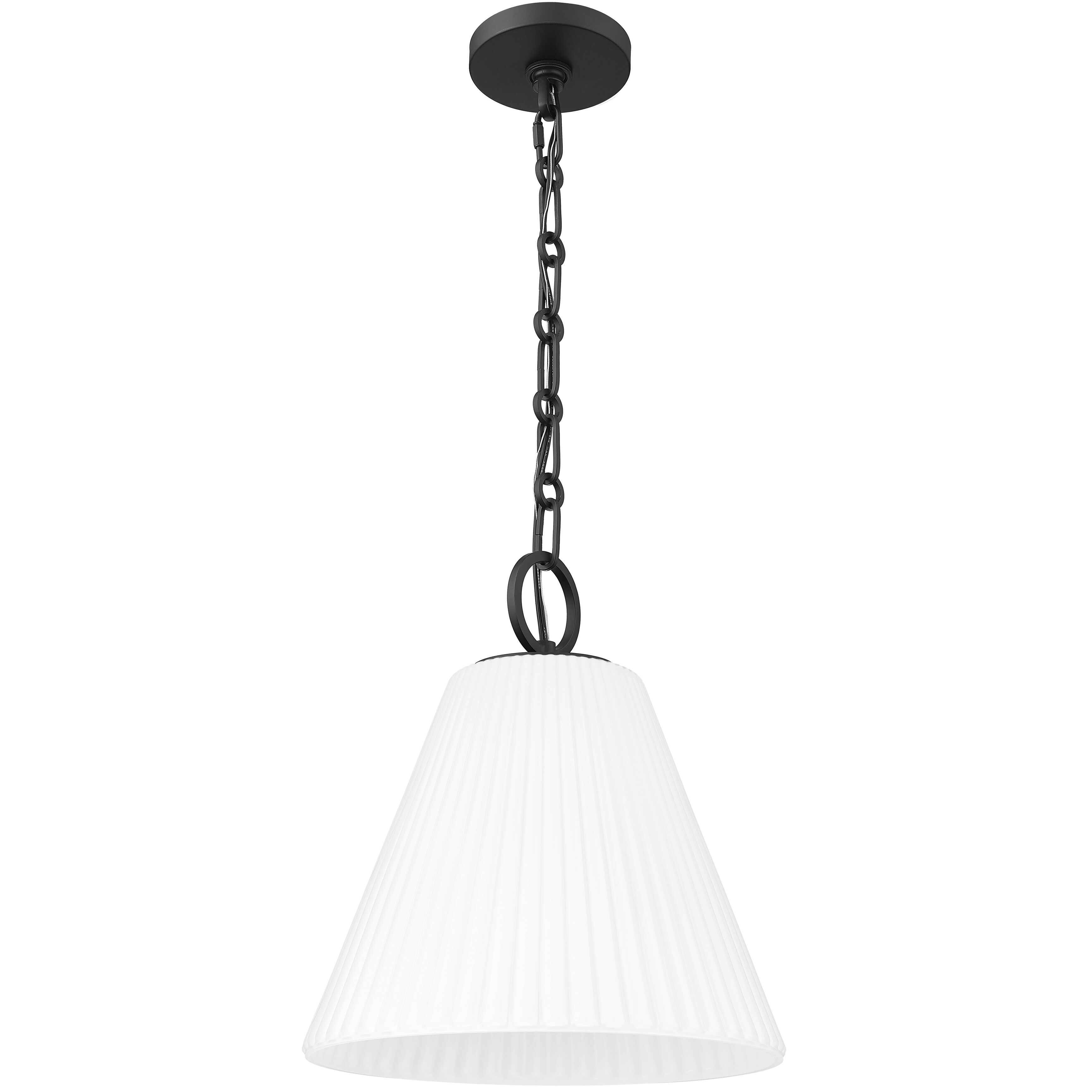 Alaric 1 Light 14 inch Matte Black Pendant Ceiling Light