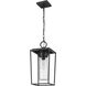 Sheridan 1 Light 8 inch Black Outdoor Chain Mount Ceiling Fixture in Seedy Glass