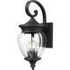 Davina Outdoor Wall Light in Black, G9