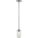 Delaney 1 Light 4 inch Brushed Nickel Pendant Ceiling Light