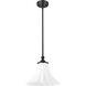 Fleur 1 Light 12 inch Matte Black Pendant Ceiling Light