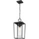 Sheridan 1 Light 8 inch Black Outdoor Chain Mount Ceiling Fixture in Seedy Glass