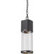 Lestat LED 5 inch Black Outdoor Chain Mount Ceiling Fixture