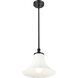 Fleur 1 Light 12 inch Matte Black Pendant Ceiling Light