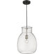 Bella 1 Light 12 inch Matte Black and Brushed Nickel Pendant Ceiling Light