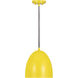 Z-Studio 1 Light 9.50 inch Pendant