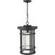 Jordan 1 Light 12 inch Black Outdoor Chain Mount Ceiling Fixture