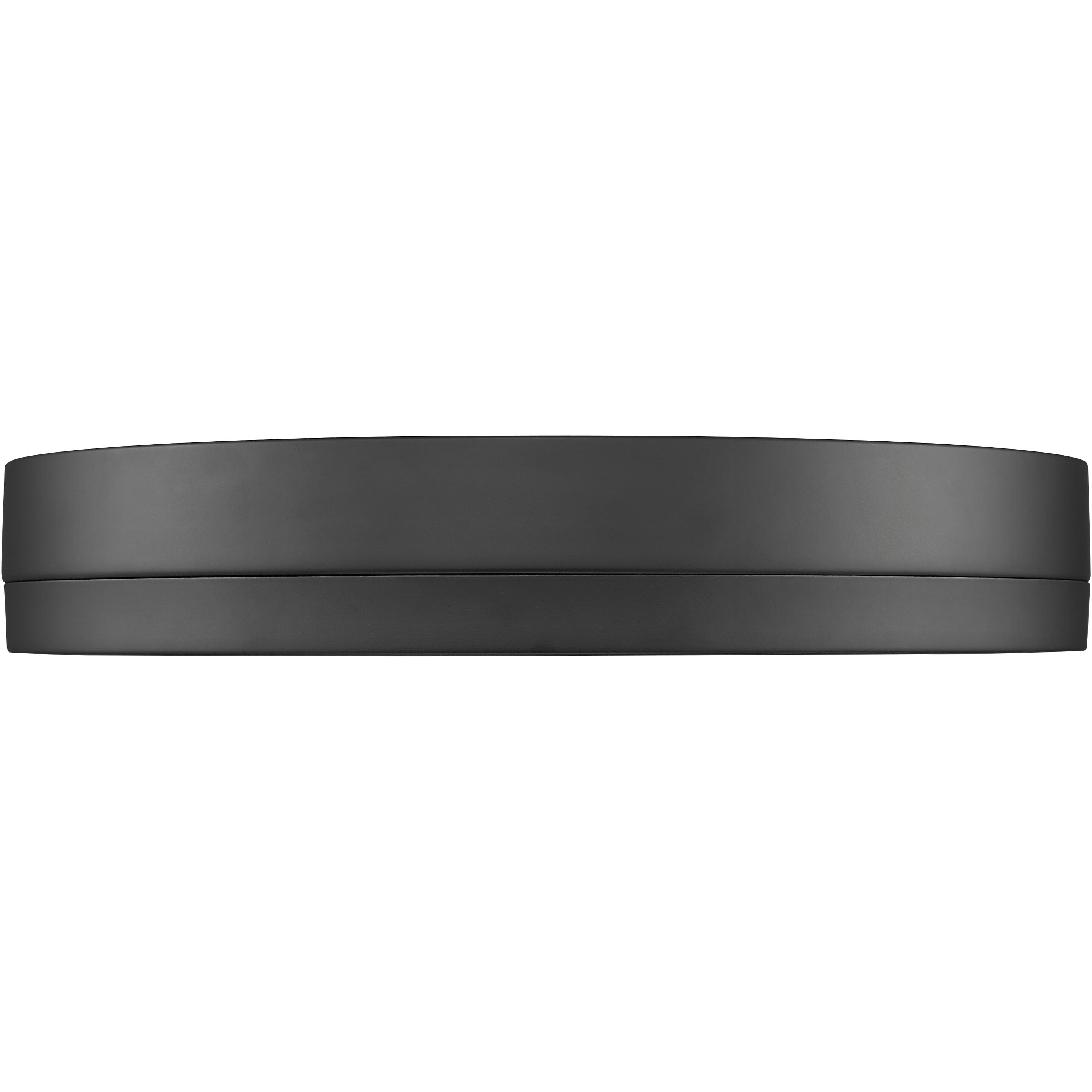 Algar LED 16 inch Matte Black Flush Mount Ceiling Light