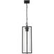 Aura 1 Light 8 inch Black Outdoor Chain Mount Ceiling Fixture in G9