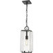 Sana 1 Light 6.75 inch Black Outdoor Chain Mount Ceiling Fixture in Seedy Glass
