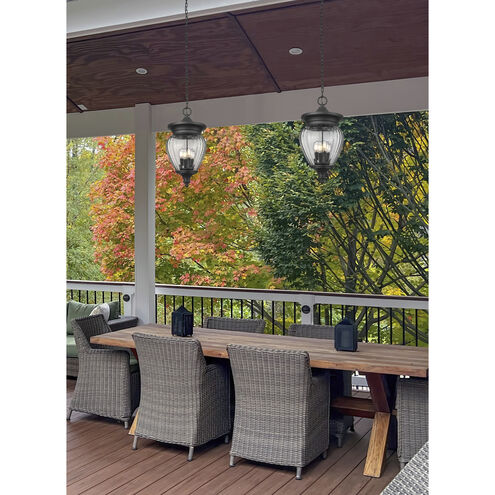 Davina 4 Light 12 inch Black Outdoor Chain Mount Ceiling Fixture in G9