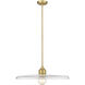 Paloma 1 Light 24.00 inch Pendant