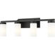 Danica 4 Light 29.5 inch Matte Black Bath Vanity Light Wall Light