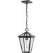 Talbot 1 Light 8.25 inch Black Outdoor Chain Mount Ceiling Fixture in Clear Beveled Glass