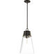 Wentworth 1 Light 11.5 inch Matte Black Pendant Ceiling Light