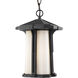 Harbor Lane 1 Light 9 inch Black Outdoor Chain Mount Ceiling Fixture