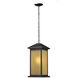 Vienna 1 Light 9.5 inch Oil Rubbed Bronze Outdoor Chain Mount Ceiling Fixture