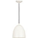 Z-Studio 1 Light 9.50 inch Pendant