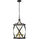 Malcalester 3 Light 14 inch Matte Black and Olde Brass Pendant Ceiling Light