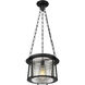 Cape Harbor 1 Light 13 inch Matte Black Pendant Ceiling Light