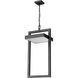 Luttrel LED 12 inch Black Outdoor Chain Mount Ceiling Fixture