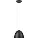 Vega Pendant Ceiling Light in Matte Black