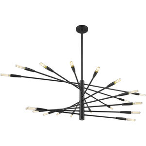 Ascension 20 Light 47.5 inch Matte Black Chandelier Ceiling Light