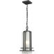 Abbey 1 Light 6.63 inch Outdoor Rubbed Bronze Outdoor Chain Mount Ceiling Fixture in Oil Rubbed Bronze