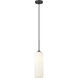 Monty 1 Light 5.25 inch Matte Black Pendant Ceiling Light