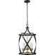 Malcalester 3 Light 14 inch Matte Black and Olde Brass Pendant Ceiling Light