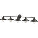 Casa 5 Light 46 inch Olde Bronze Vanity Wall Light in Olde Bronze Steel
