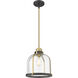 Burren 1 Light 12.25 inch Bronze and Brass Pendant Ceiling Light