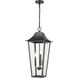 Gannon 3 Light 12 inch Black Outdoor Chain Mount Ceiling Fixture in G9