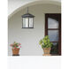 Mesa 1 Light 8 inch Black Outdoor Chain Mount Ceiling Fixture