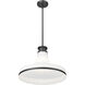 Reznor Pendant Ceiling Light in Matte Black