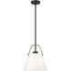 Z-Studio 1 Light 12.5 inch Matte Black Pendant Ceiling Light