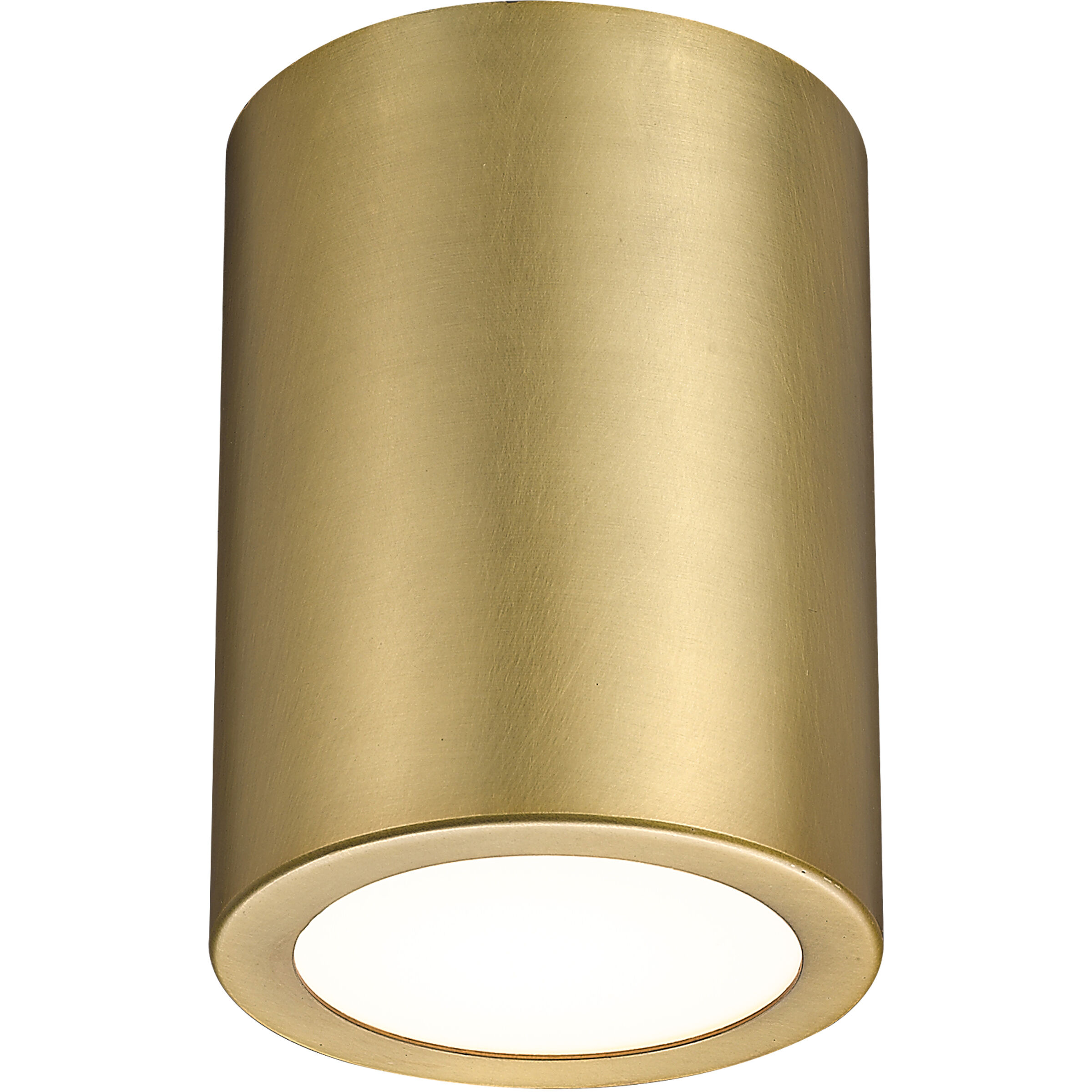Harley 1 Light 5 inch Rubbed Brass Flush Mount Ceiling Light