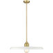 Paloma 1 Light 24.00 inch Pendant