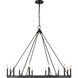 Barclay 12 Light 48 inch Matte Black Chandelier Ceiling Light